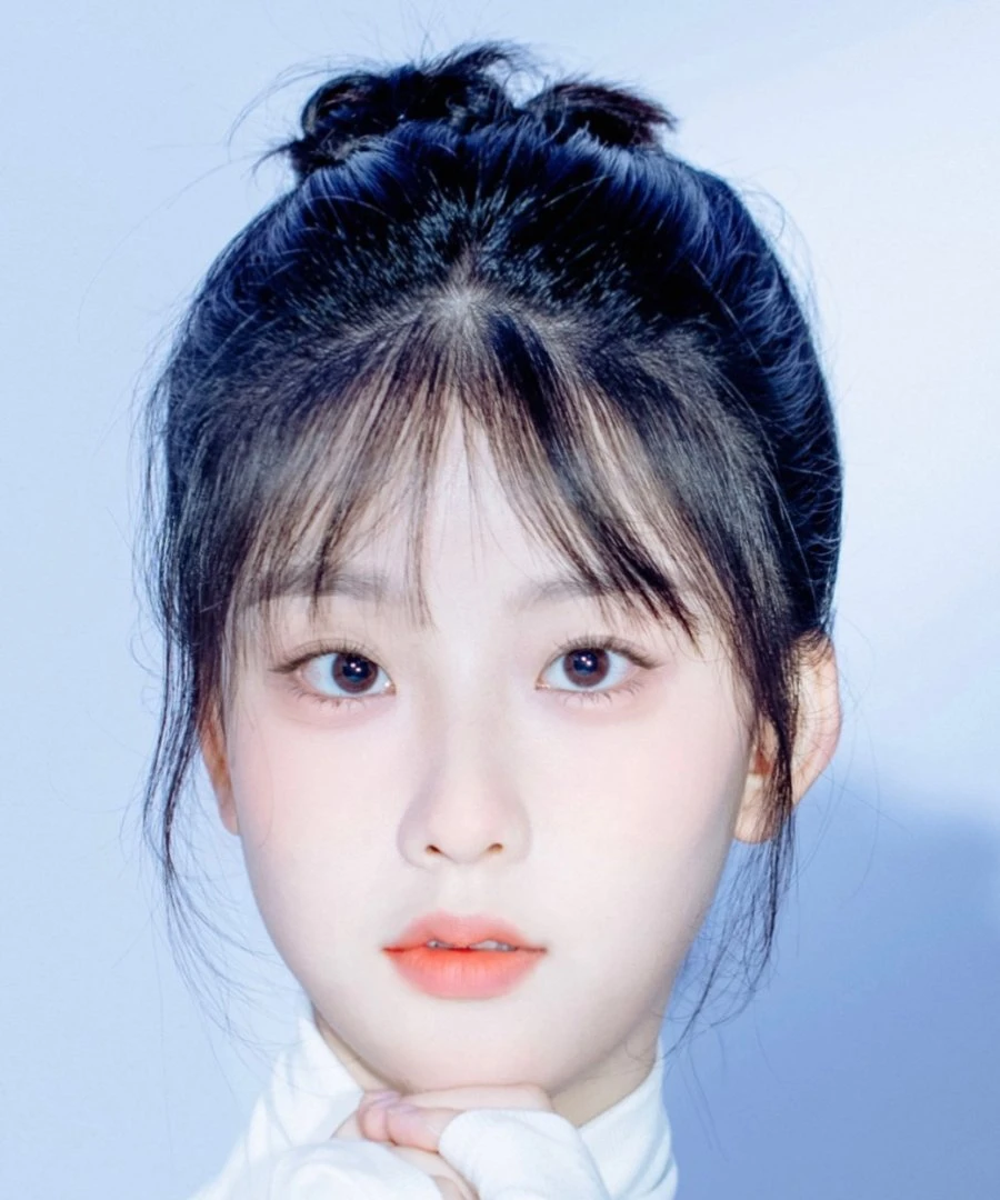 Wang Yan Fei
